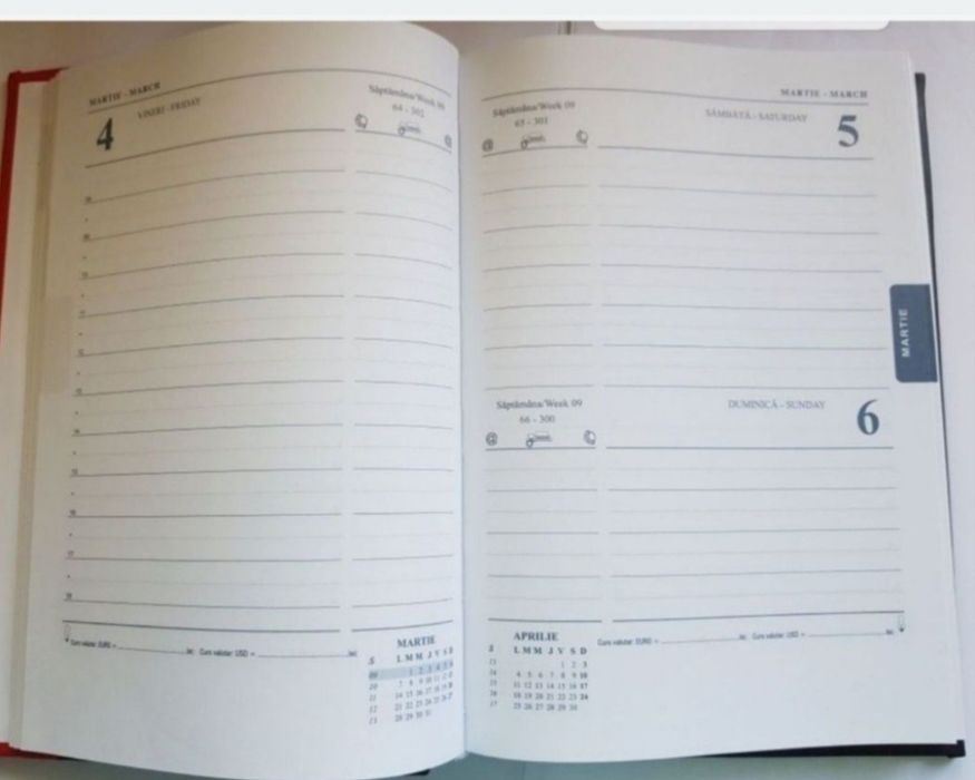 Agendă business notes