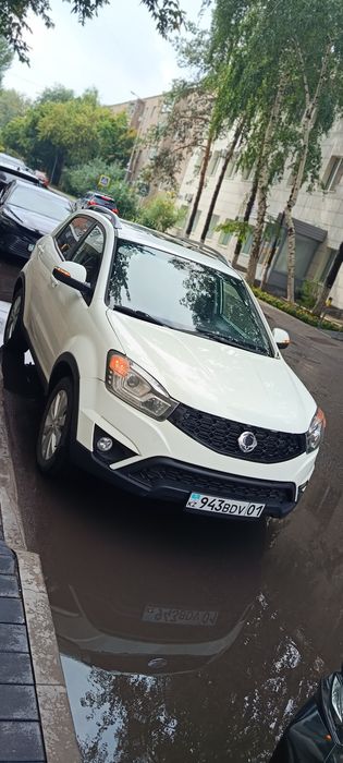 SsangYong action