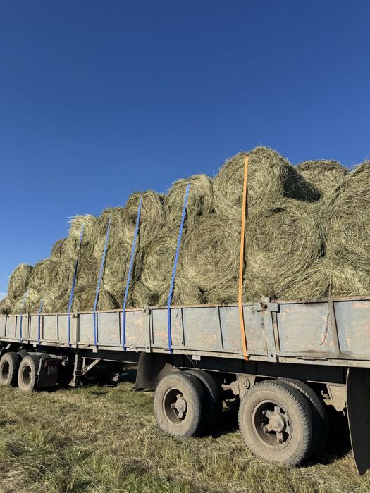 Продам сено разнотравье