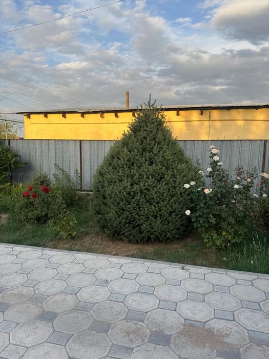 Продам дом в Каскелене