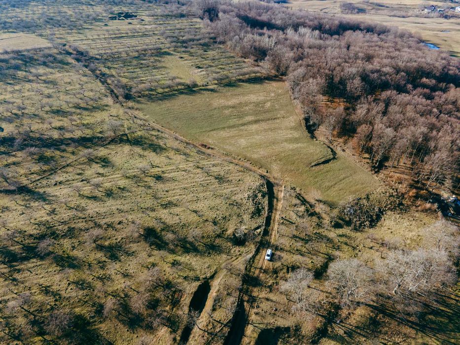 Teren 9.100 mp lângă pădure, utilități  – panoramă superbă – Udești