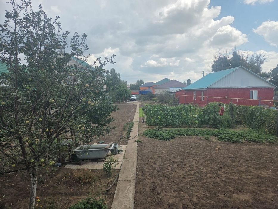 Продам дачный участок с домиком