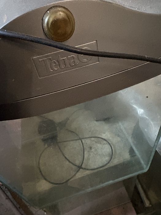 Acvariu Tetra de 60 litri