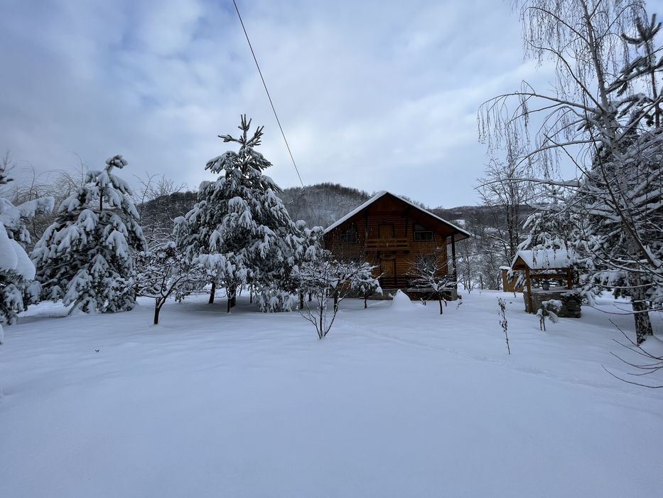 Cabana lemn lângă râu, sat Costeşti