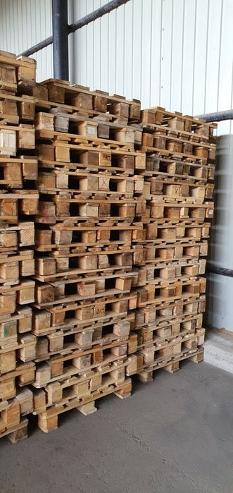 Продам поддоны деревянные новые.