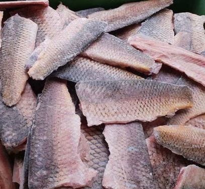 Рыба ВКО озеро Зайсан