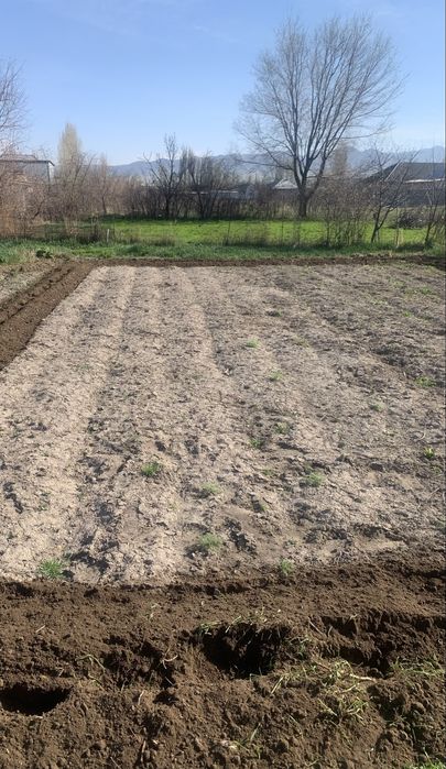 огород траншеи септики