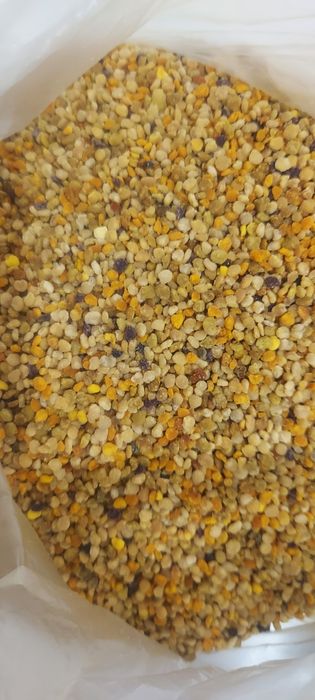 Пыльца, прополис, подмор, Мёд