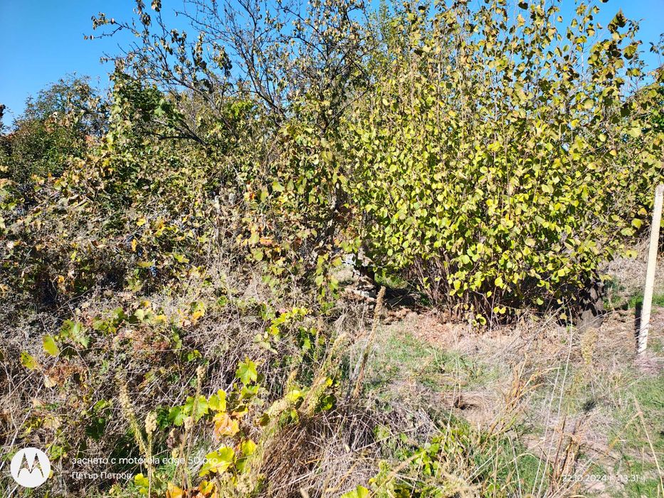 Продава се Къща в Видин, Христо Ботев - 118 кв.м за 108 €/кв.м - Снимка #8