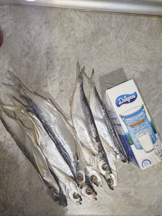 Продам сушёную рыбу Чехонь