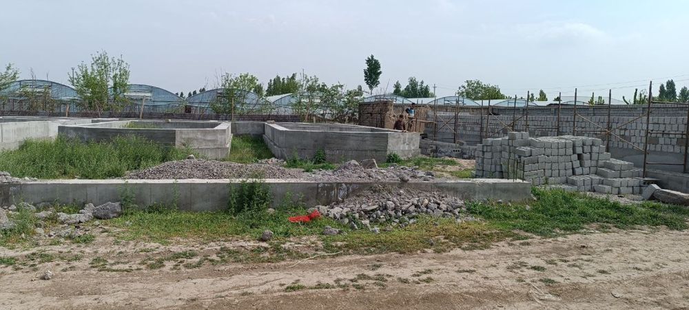 Narxi va sotixi ozgardi. Yangiyo’l tumani 5,8 sotix yer sotiladi.