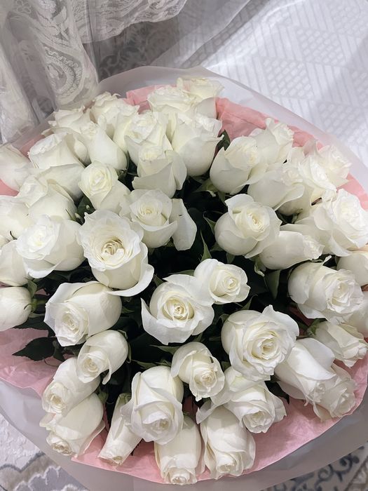 Гүл 51шт ақ роза