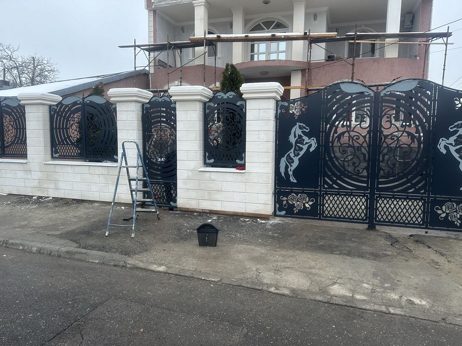 Porti garduri din tabla decupta