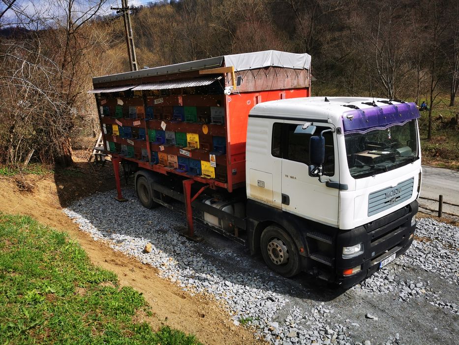 Vând MAN TGA apicol omologat BDF