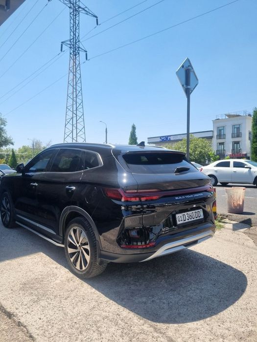 Byd champion 150tali