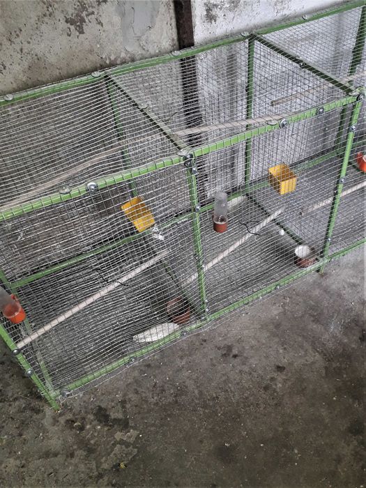 клетки за птици– малки и средни