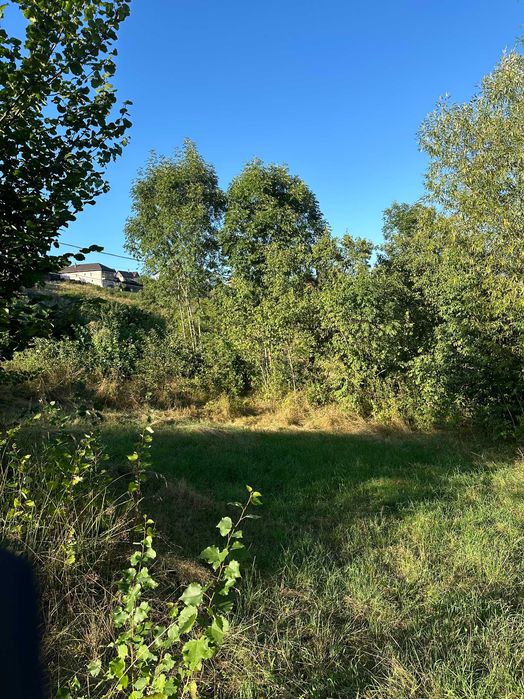 Teren Feleacu 877mp Construibil pentru Casa