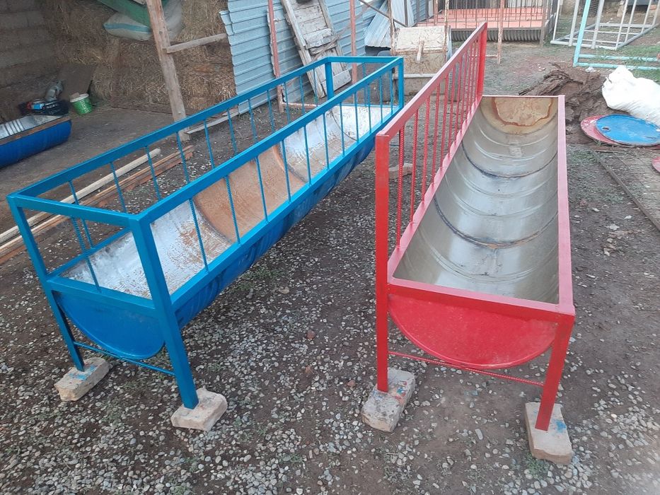 Ақыр. Науа. Карита. Астау.