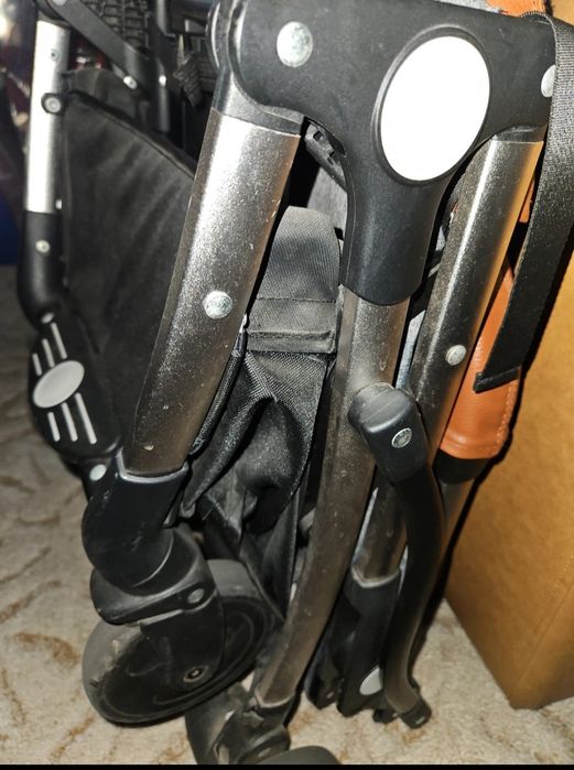 Cărucior (copil) animale companie