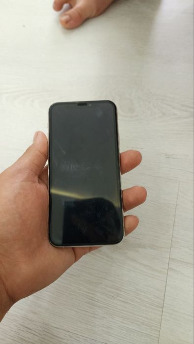 Iphone 11 pro ideal sastayanada
