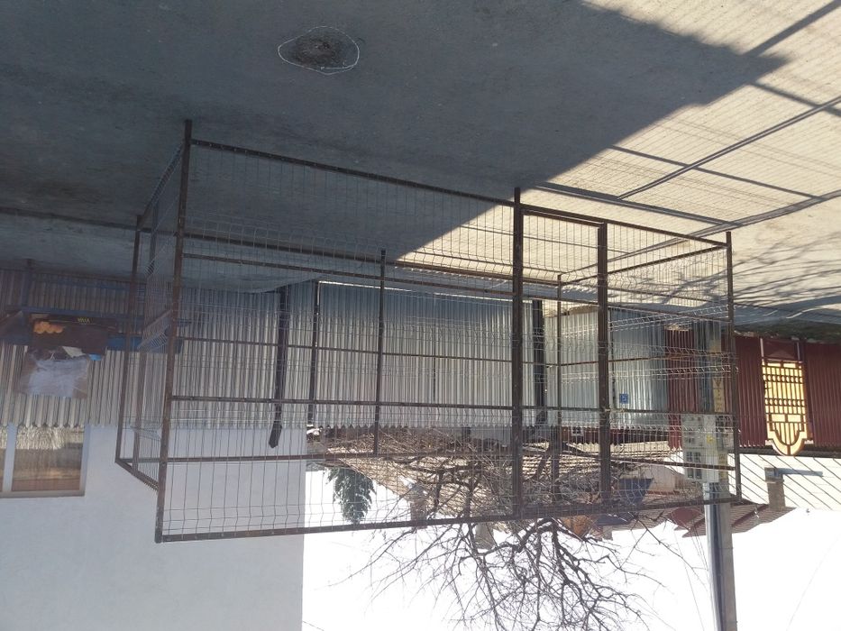 Vand țarca pentru câini după cererea clientului