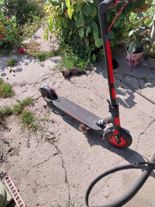 Электро самакат ксиоми PRO оригинал