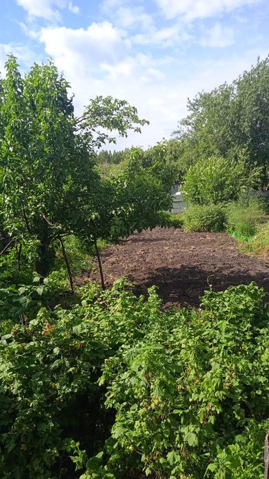 Продам дачу "Гудок"