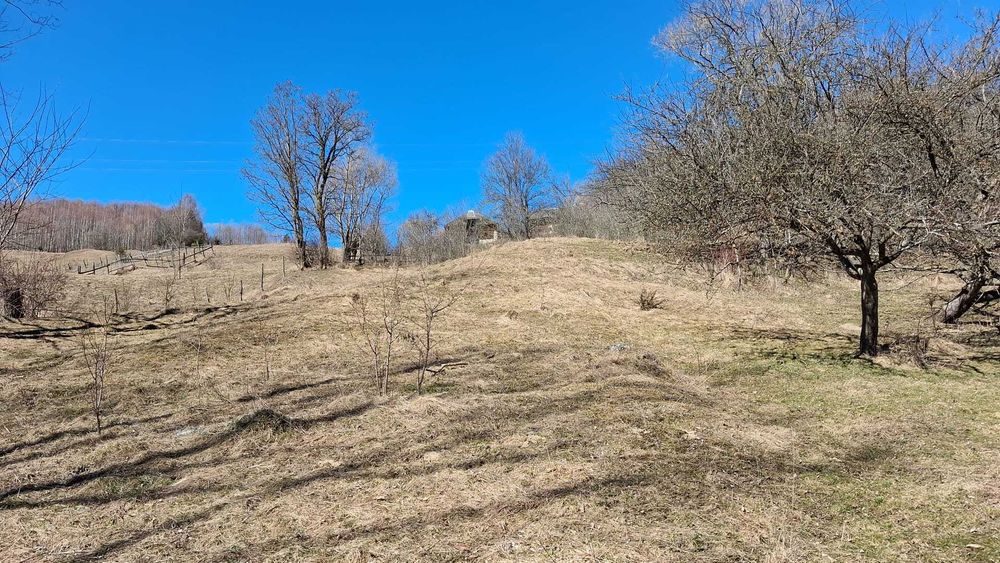 Vand teren dambavocioara 1990 mp