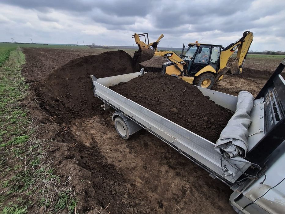 Pamant negru (vegetal)