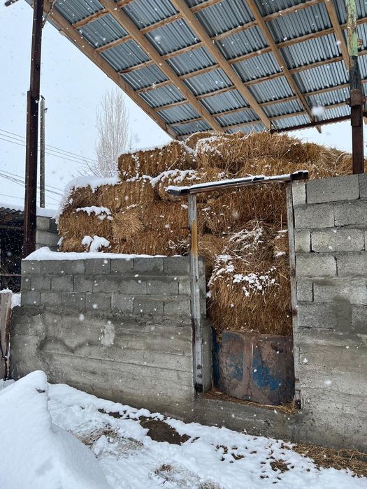 Жонышка сатылады