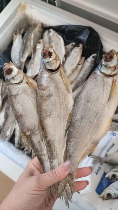 Рыба атырау в наличии