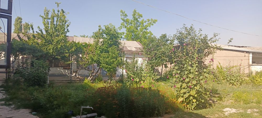 Uy sotiladi quruq yer sifatida sotiladi