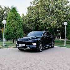 byd chempion naxt va xalol nasiya