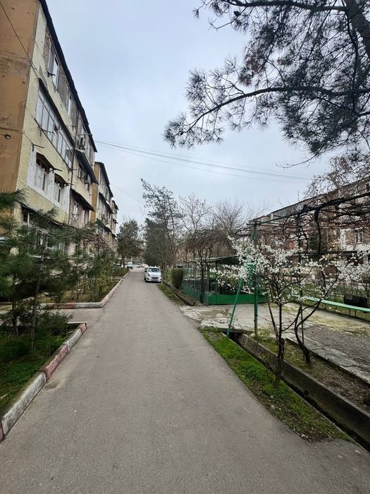 Авиасозлар 1 кадышева рынок 2в3