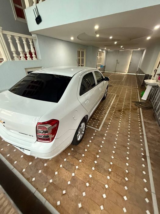 Oq  kobild 2024 yil avtamad karopka.