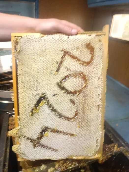 Продам мед натуральный