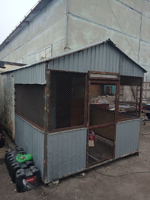 Продам голубят. Голубятник