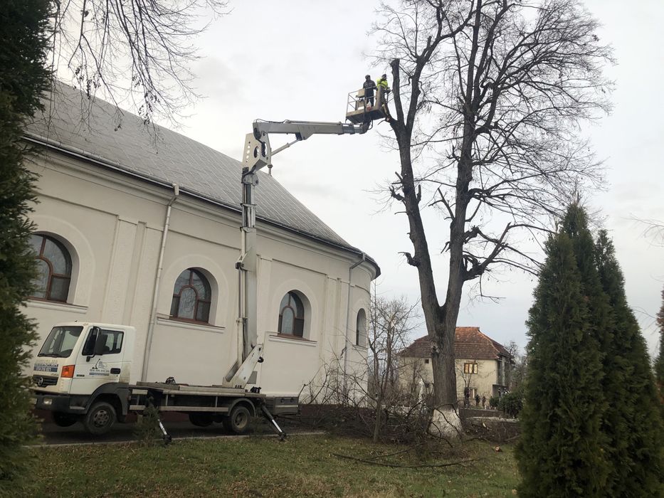 Toaletari arbori , taieri copaci periculosi , defriseri cu Nacela