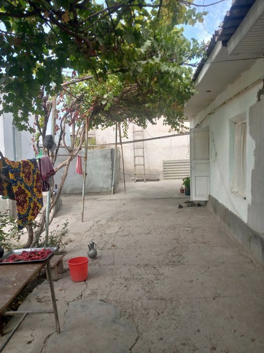 Uy sotiladi 7 sotish 6600 dan Яна келишамиз4 xona uy bor