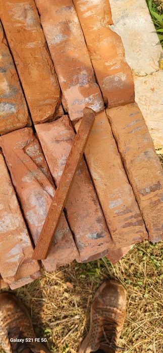 Caramida marginii* Rustice *