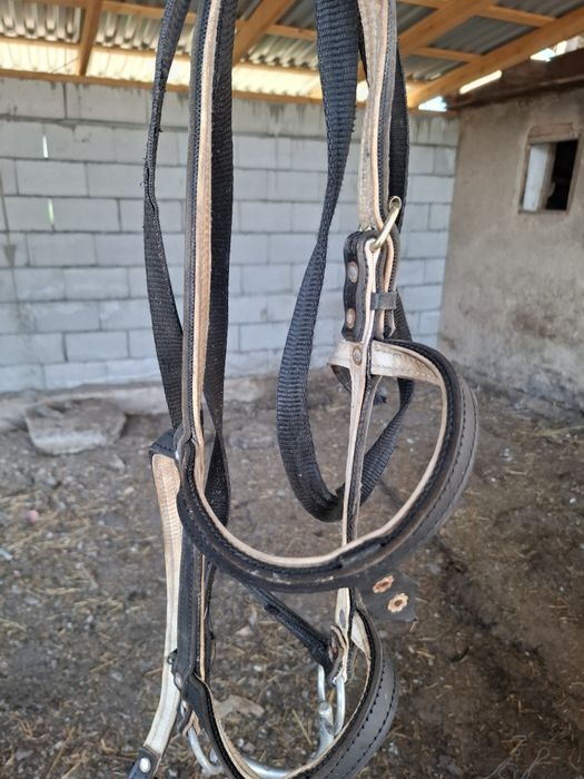Продам уздечку кожа