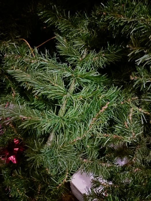 Ёлка новогодняя и дед мороз