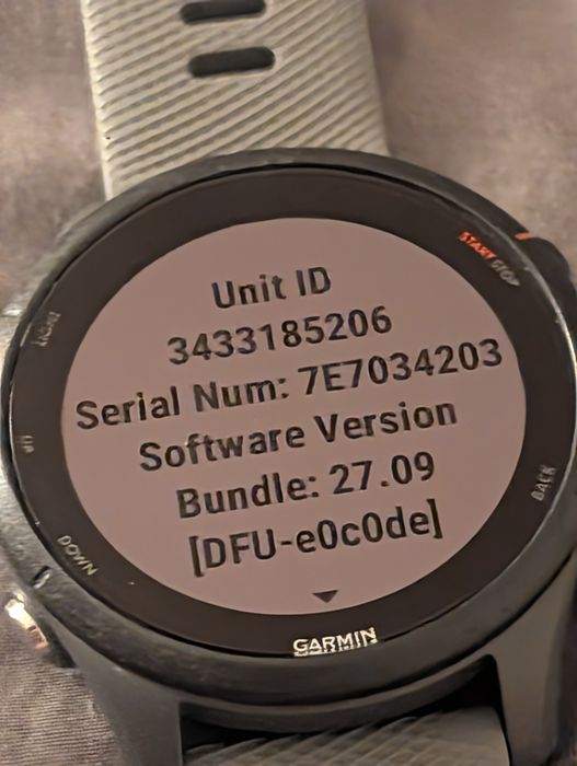 Garmin Forerunner 255