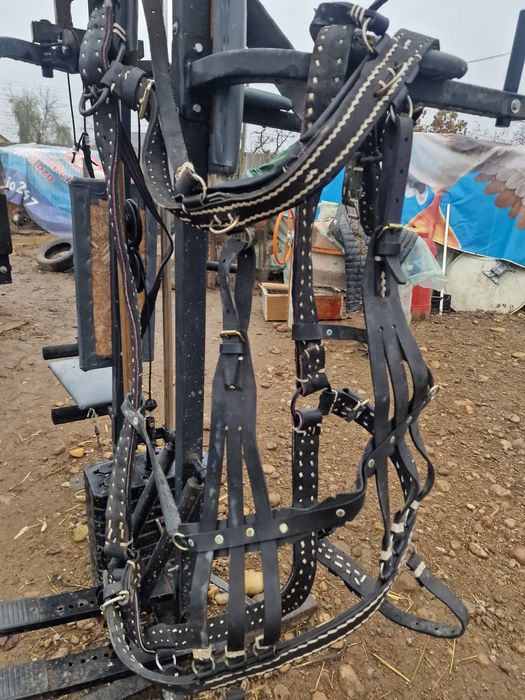 Vând ham nou nepurtat