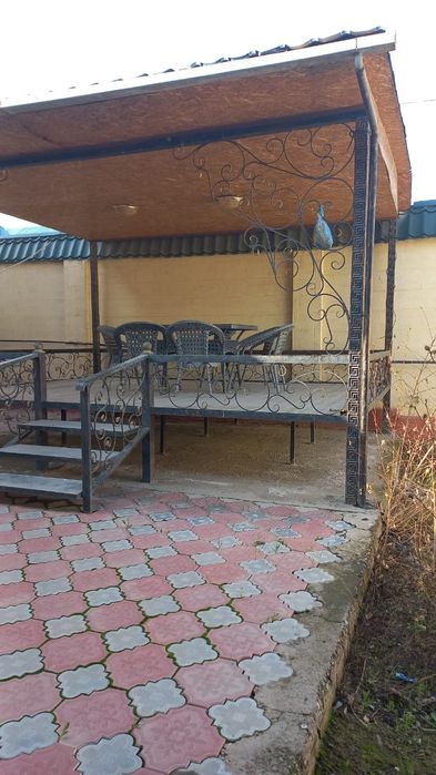 Тапшан састаяна хороши кришасымен дайын