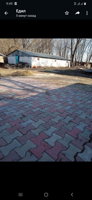 Уй сатамын Сактан аулында