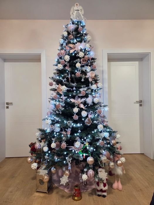 Vând brad 2,5 metri