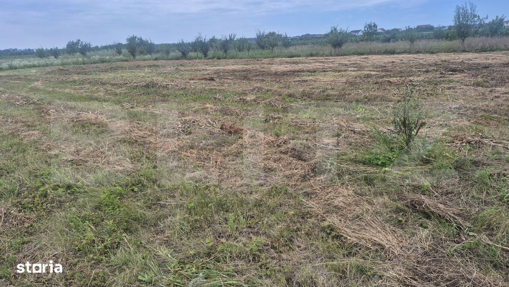 Teren intravilan de vanzare, 1000 mp, zona Martinesti