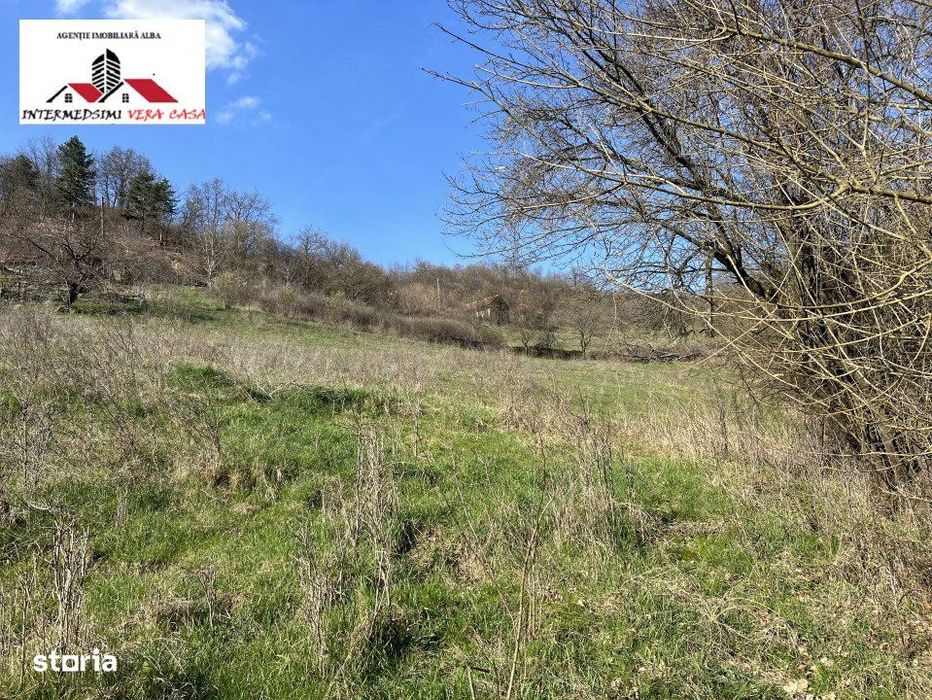 Teren intravilan - extravilan 9,3 Ha de vanzare Matacina Jud Alba