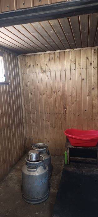 Дома в селе Токуши